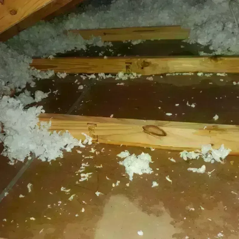 Attic Water Damage in Franklin County, AL