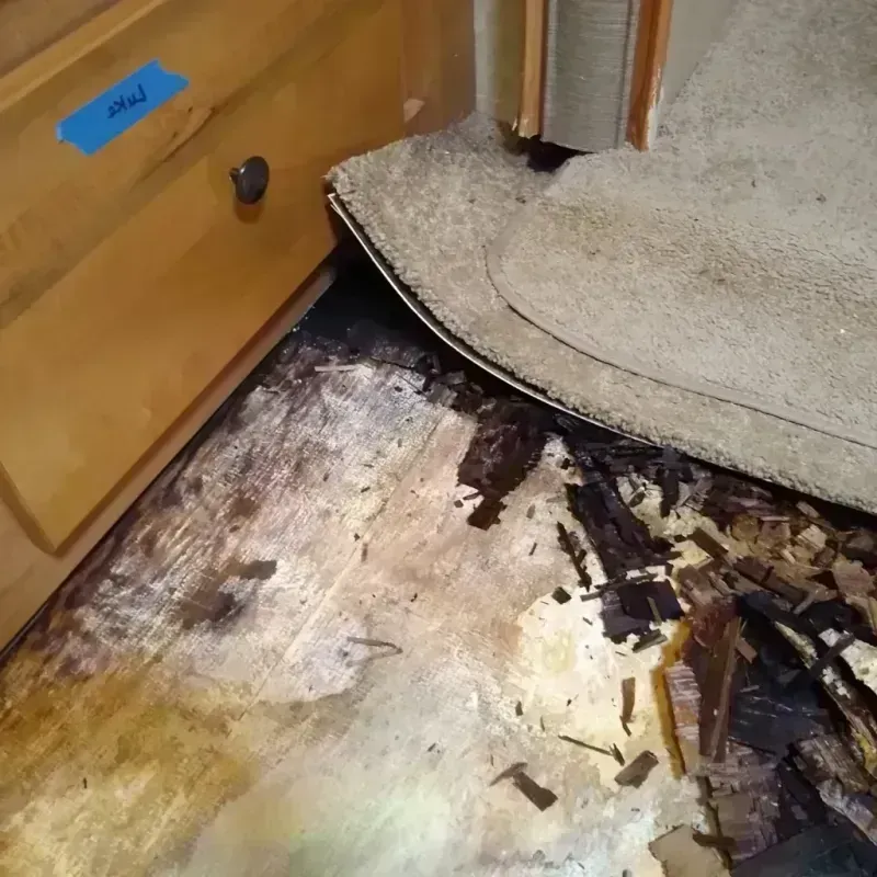 Wood Floor Water Damage in Franklin County, AL